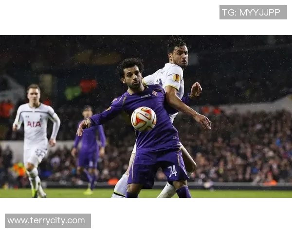 埃弗顿主场迎战热刺精彩回顾与赛后分析