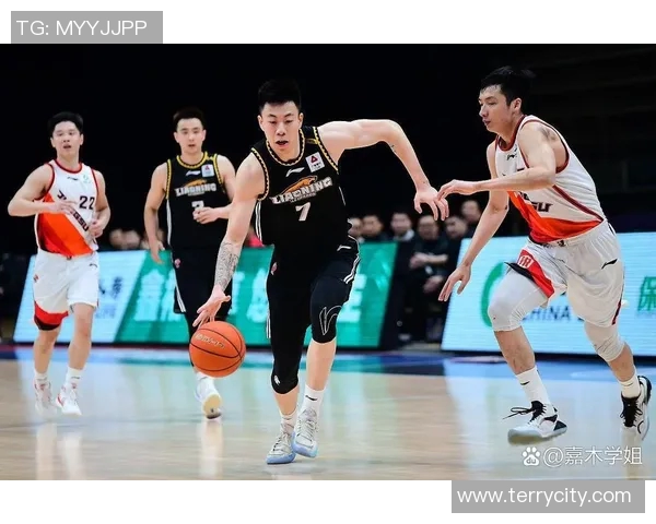 明星篮球节目明星篮球赛